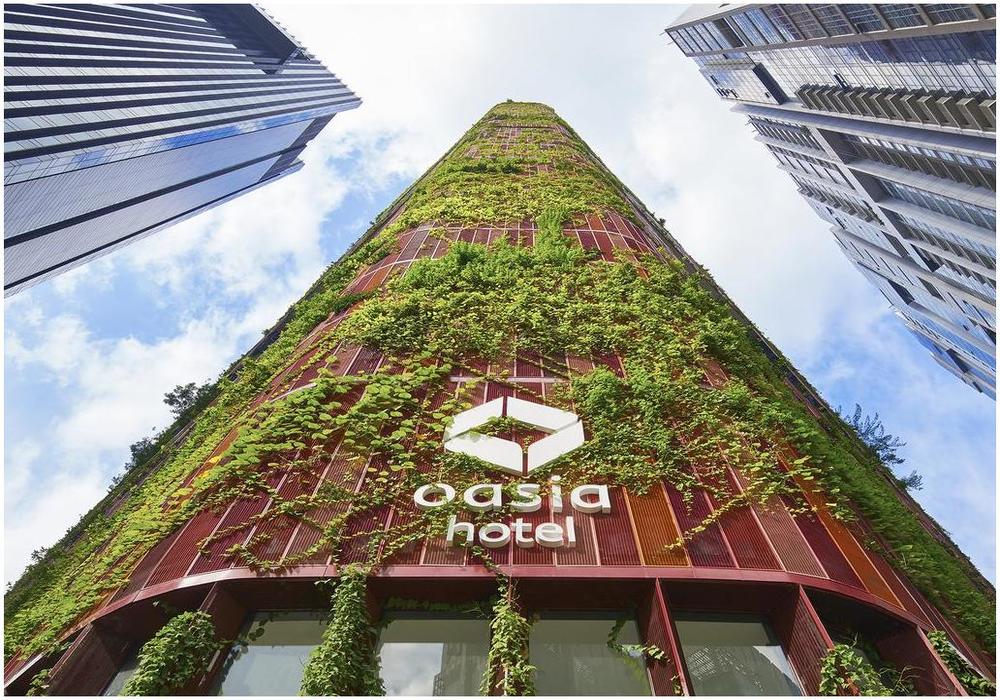 l'architecture durable de l'hotel oasis